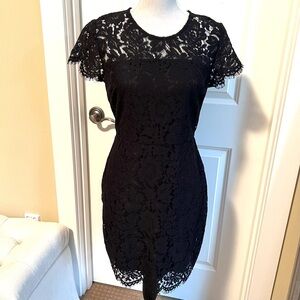 Banana Republic Black Lace Overlay fitted sheath dress—incredible back view!